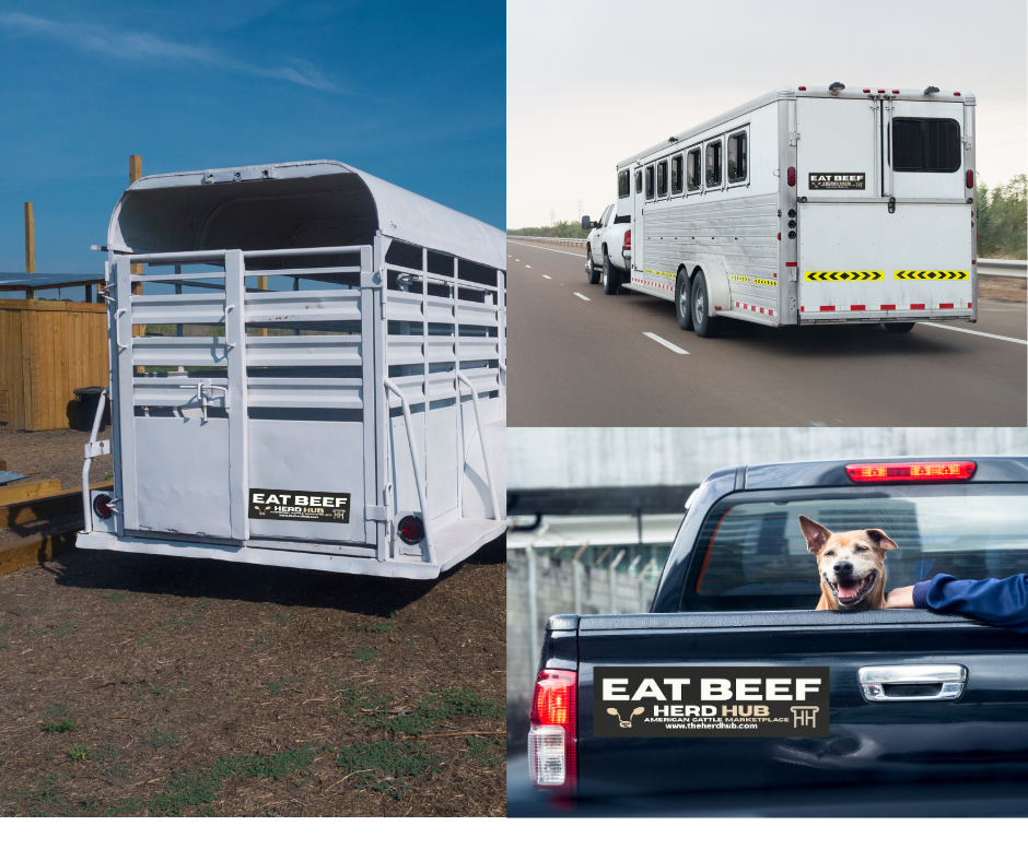Herd Hub Car Magnet – American Cattle Marketplace Logo Magnetic Decal